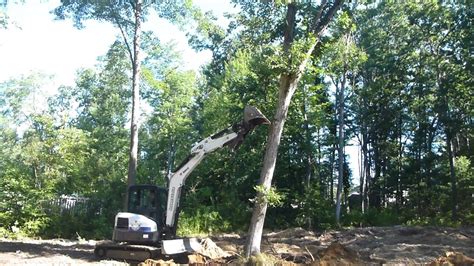 mini excavator push over tree